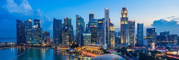加油！ 新加坡本地中小企业企业国际化！