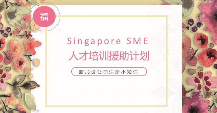 【新加坡公司注册小知识】新加坡政府对中小型企业与微型企业人才培训援助计划