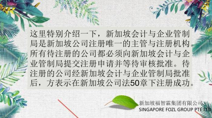 【广告篇】福智霖提供的新加坡公司注册服务有哪些？看这里！