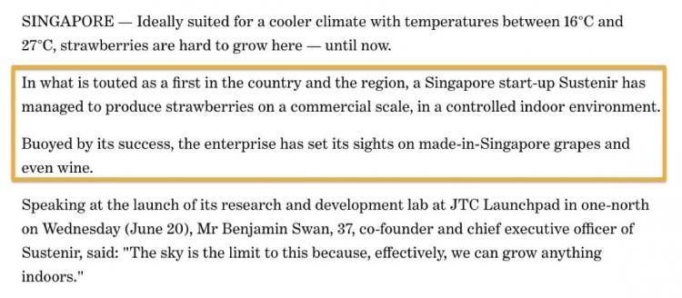 草莓也能“Made in Singapore” ，农场借助高科技出产草莓
